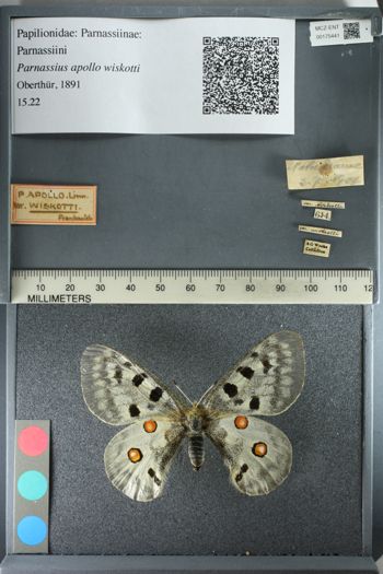 Media type: image;   Entomology 175441